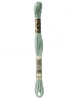 DMC 3813 (504)