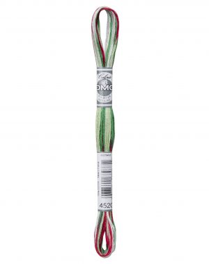 DMC 4520