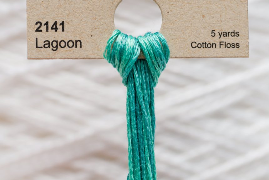 Weeks – Lagoon 5 yards 6 strand skein 2141