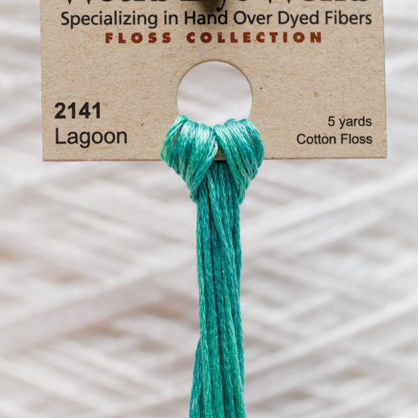 Weeks - Lagoon 5 yards 6 strand skein 2141