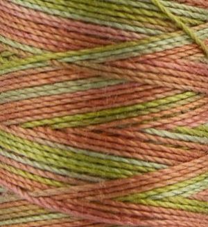 Sulky Cotton Blendables 12wt Summer Fruit 4092