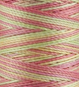 Sulky Cotton Blendables 12wt Summer Garden 4127