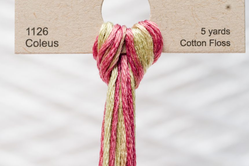 Weeks – Coleus 5 yards 6 strand skein 1126