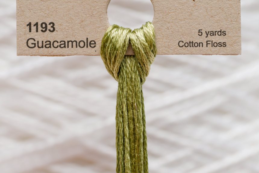 Weeks – Guacamole 5 yards 6 strand skein 1193