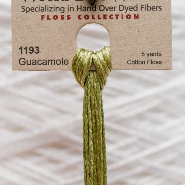 Weeks - Guacamole 5 yards 6 strand skein 1193