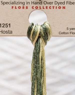 Weeks - Hosta 5 yards 6 strand skein 1251