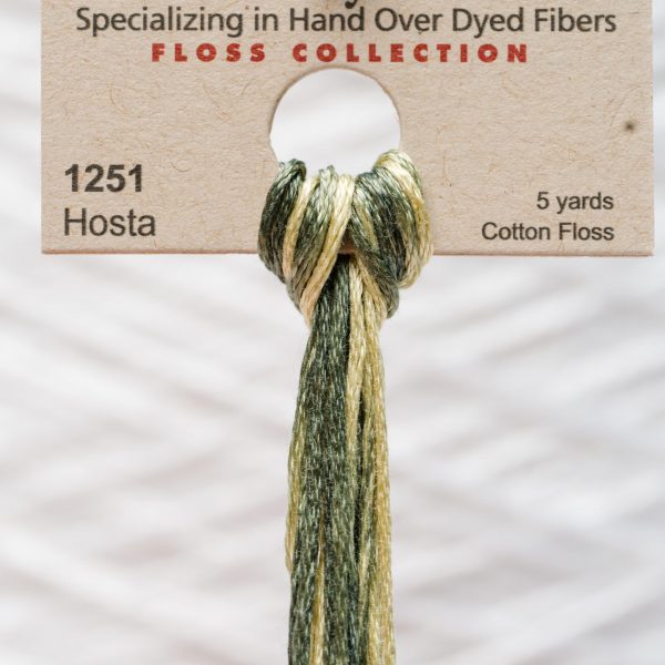 Weeks - Hosta 5 yards 6 strand skein 1251