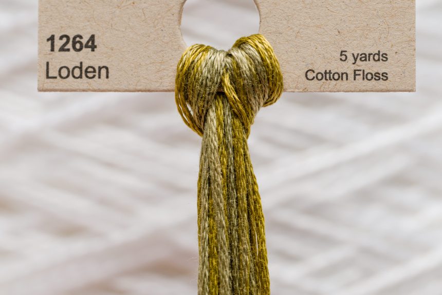 Weeks – Loden 5 yards 6 strand skein 1264