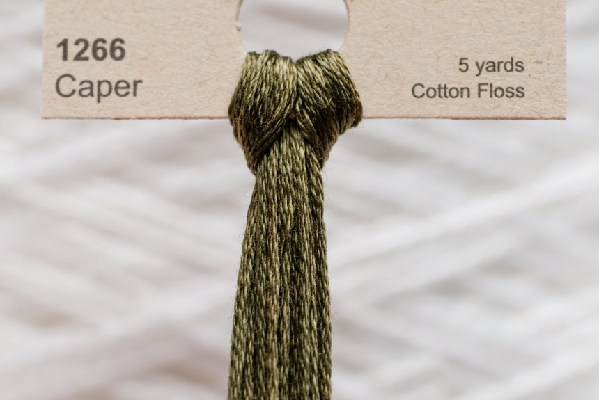 Weeks – Caper 5 yards 6 strand skein 1266