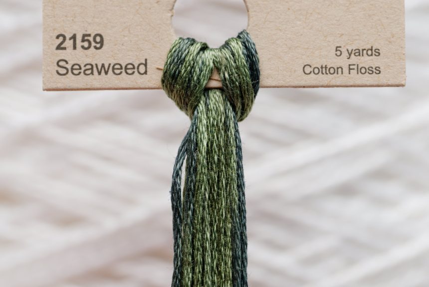 Weeks – Seaweed 5 yards 6 strand skein 2159