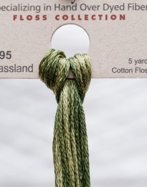 Weeks - Grassland 5 yards 6 strand skein 2195