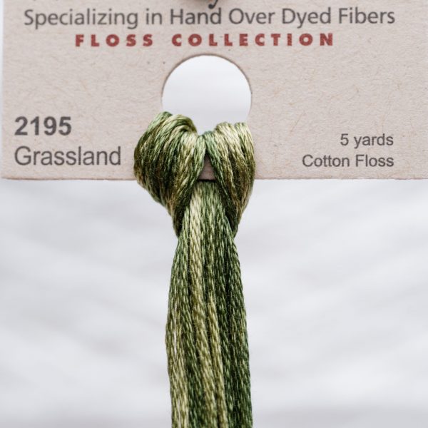Weeks - Grassland 5 yards 6 strand skein 2195