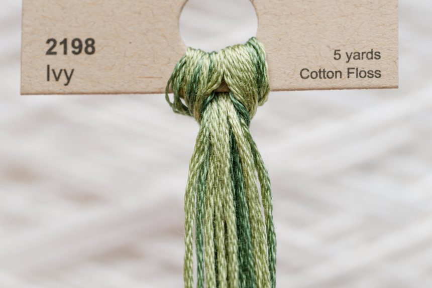 Weeks – Ivy 5 yards 6 strand skein 2198