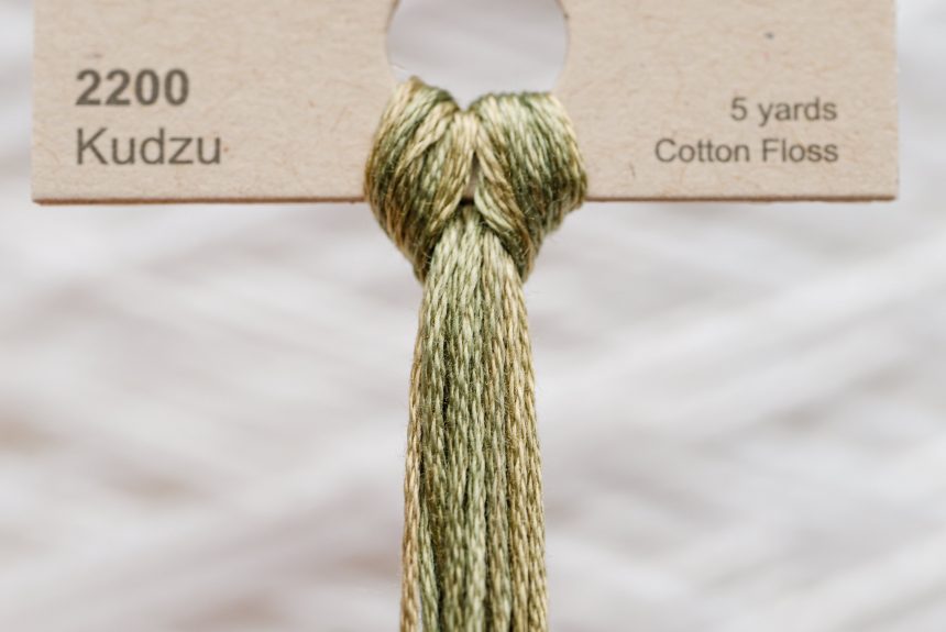 Weeks – Kudzu 5 yards 6 strand skein 2200