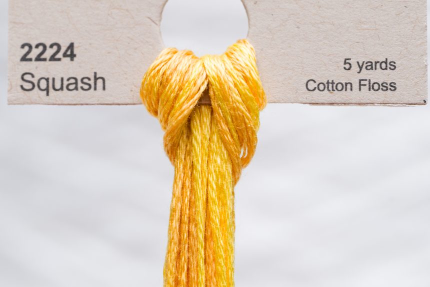 Weeks – Squash 5 yards 6 strand skein 2224