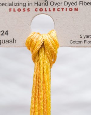 Weeks - Squash 5 yards 6 strand skein 2224