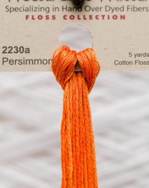 Weeks - Persimmon 5 yards 6 strand skein 2230a