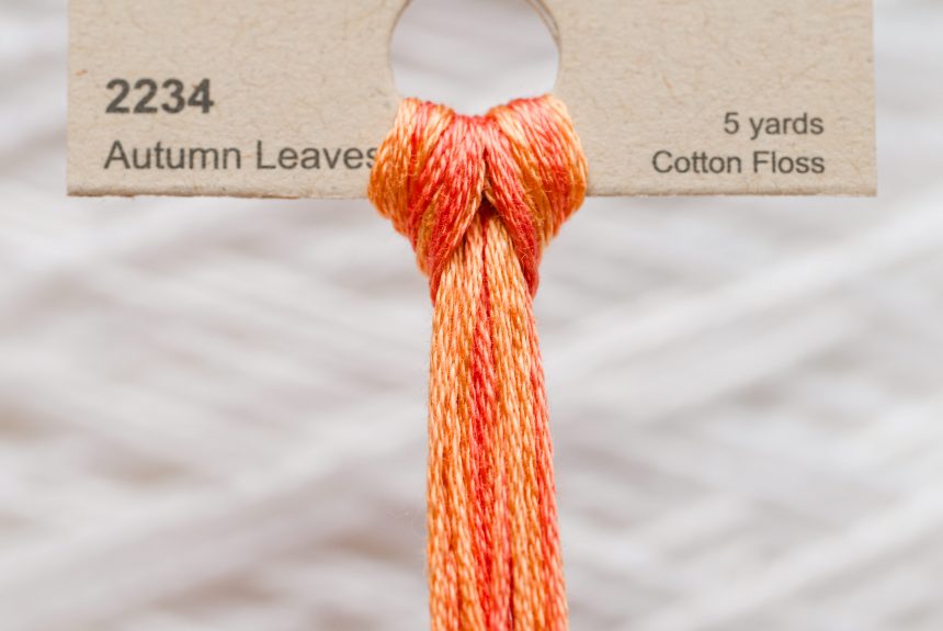 Weeks – Autumn Leaves 5 yards 6 strand skein 2234