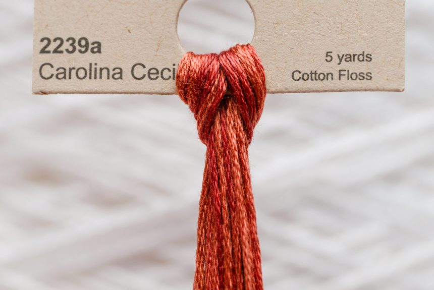 Weeks – Carolina Cecil 5 yards 6 strand skein 2239a