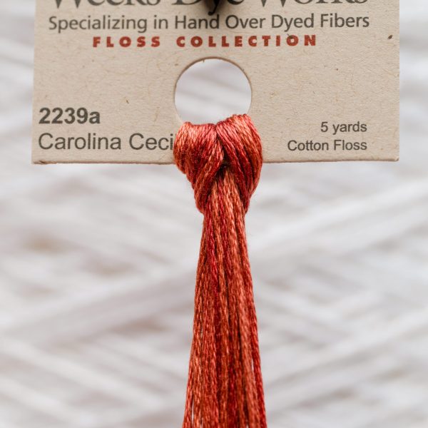 Weeks - Carolina Cecil 5 yards 6 strand skein 2239a