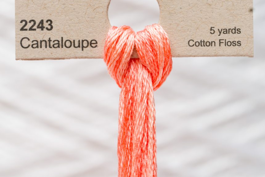 Weeks – Cantaloupe 5 yards 6 strand skein 2243