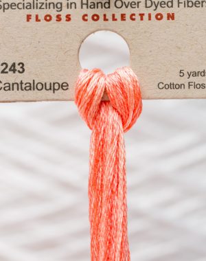 Weeks - Cantaloupe 5 yards 6 strand skein 2243