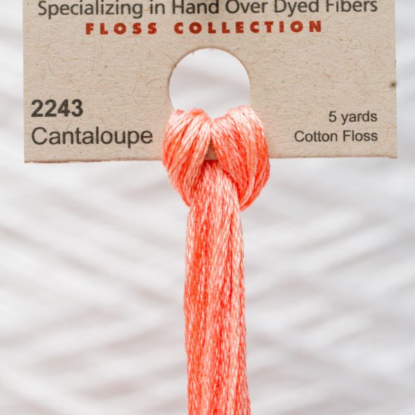 Weeks - Cantaloupe 5 yards 6 strand skein 2243