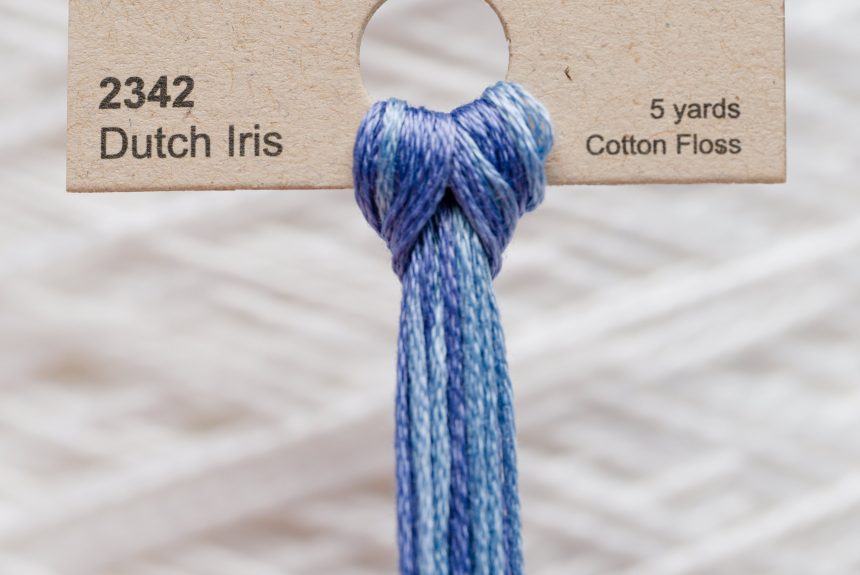 Weeks – Dutch Iris 5 yards 6 strand skein 2342