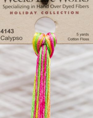 Weeks - Calypso 5 yards 6 strand skein 4143