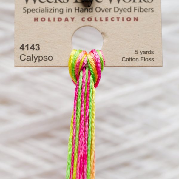 Weeks - Calypso 5 yards 6 strand skein 4143