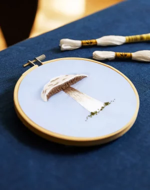 DMC Prince Mushroom - Embroidery Kit