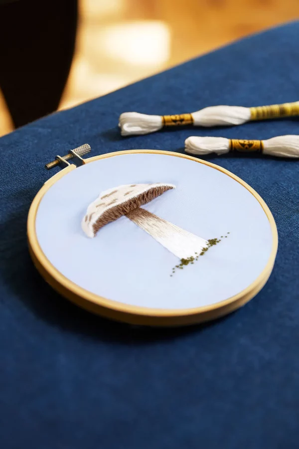 DMC Prince Mushroom - Embroidery Kit