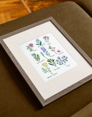 DMC Herbs by Nathalie Weinzaepflen Advanced Cross Stitch Kit