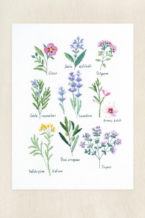 DMC Herbs by Nathalie Weinzaepflen Advanced Cross Stitch Kit - Image 4
