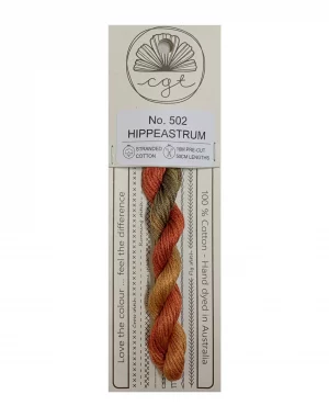 Cottage Garden Hippeastrum (502)