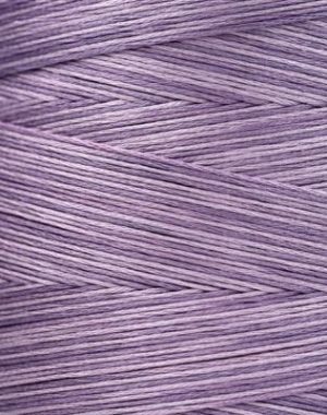 Weeks - Catmint 5 yards 6 strand skein 1312