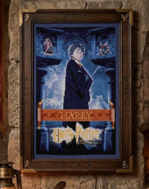 DMC Harry Potter - Harry Poster Large Cross Stitch kit