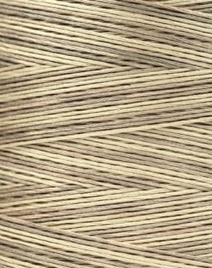 Weeks - Coquina 5 yards 6 strand skein 1122a