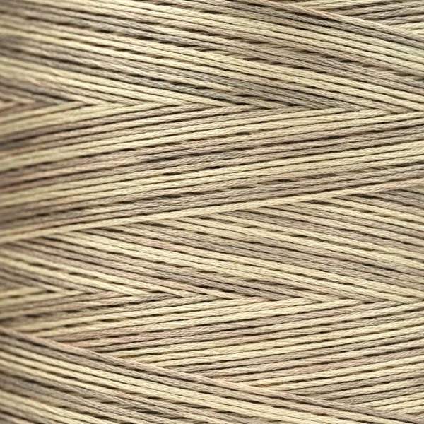 Weeks - Coquina 5 yards 6 strand skein 1122a